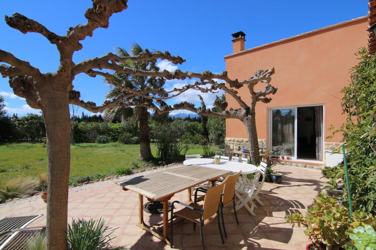 Mas Uranie Bed and Breakfast Le Soler Buitenkant foto