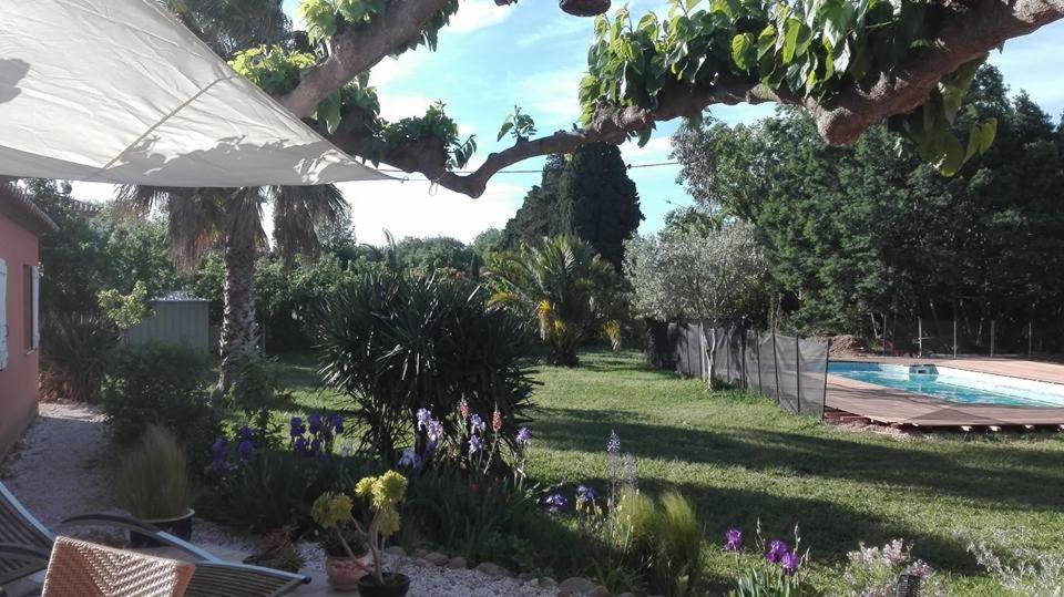 Mas Uranie Bed and Breakfast Le Soler Buitenkant foto