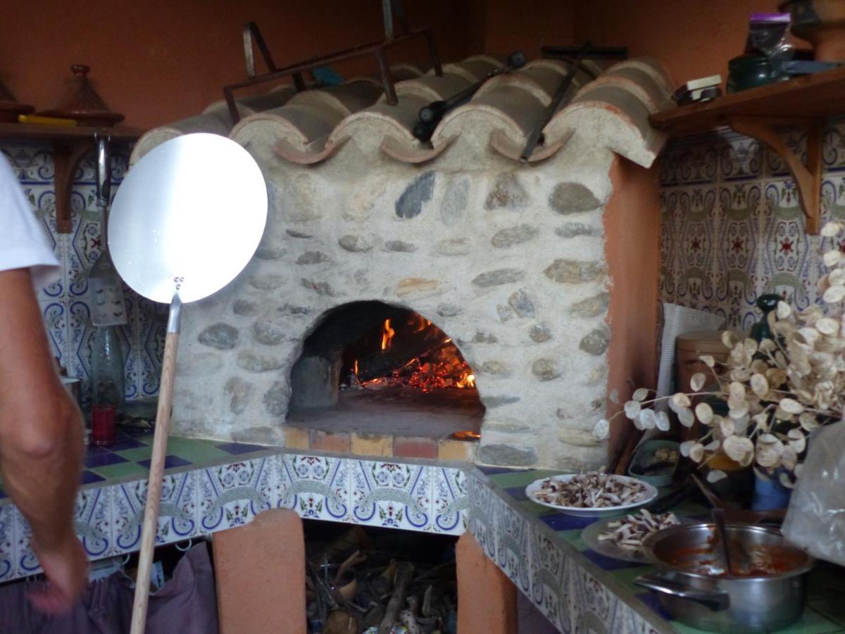 Mas Uranie Bed and Breakfast Le Soler Buitenkant foto