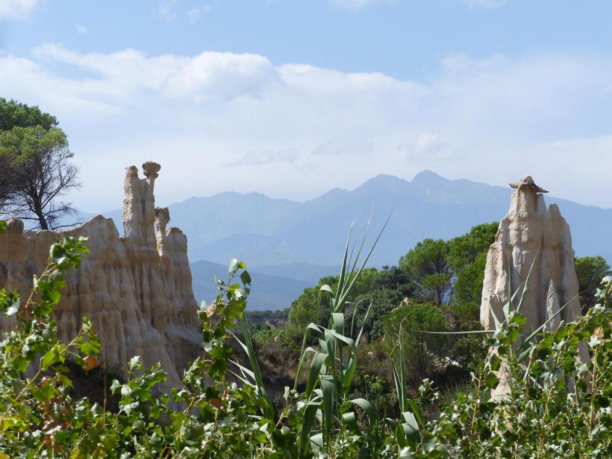 Mas Uranie Bed and Breakfast Le Soler Buitenkant foto